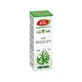 Aceite esencial de eucalipto, R19, 10 ml, Fares