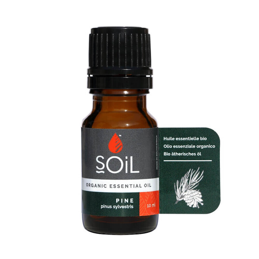 Aceite esencial de pino puro 100% ecológico, 10 ml, SOiL