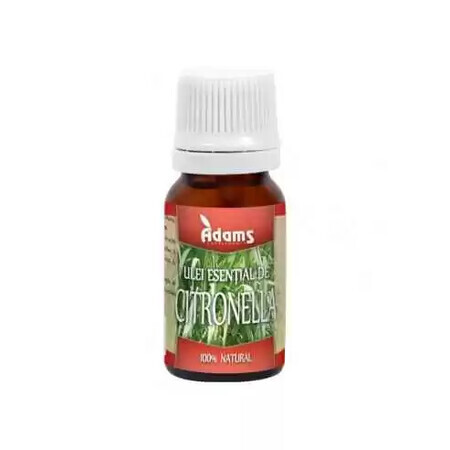 Olio essenziale di citronella, 10 ml, Adams Vision