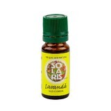 Aceite esencial de lavanda, 10 ml, Solaris