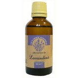 Lavender essential oil, 50 ml, Herbavit