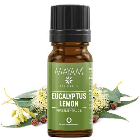 Aceite esencial de eucalipto citronato (M - 1326), 10 ml, Mayam