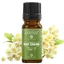 Litsea Cubeba essential oil (M - 1154), 10 ml, Mayam