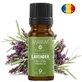 Aceite esencial puro de lavanda (M - 1404), 10 ml, Mayam