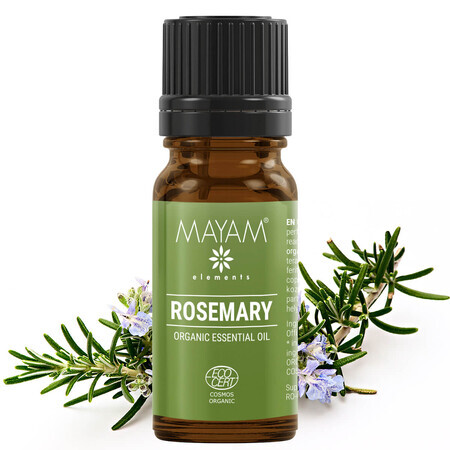 Rosemary essential oil (M - 1232), 10 ml, Mayam