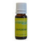 Aceite con fragancia Gardenia, 10 ml, Onedia