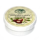 Chestnut ointment, 20 g, Ceta Sibiu