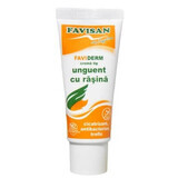 Faviderm resin ointment, 40 ml, Favisan