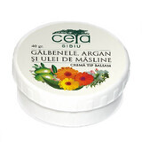 Marigold, argan and olive oil ointment, 20 g, Ceta Sibiu