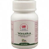 Vasaka, 60 capsules, Ayurvedic Herb