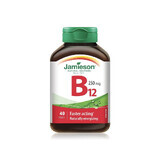 Vitamina B12 250 mg, 40 comprimidos, Jamieson