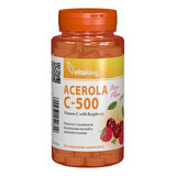 Vitamina C 500 mg con acerola y sabor frambuesa, 40 comprimidos masticables, Vitaking