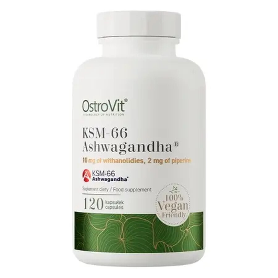 Ashwagandha KSM-66, 120 cápsulas, OstroVit