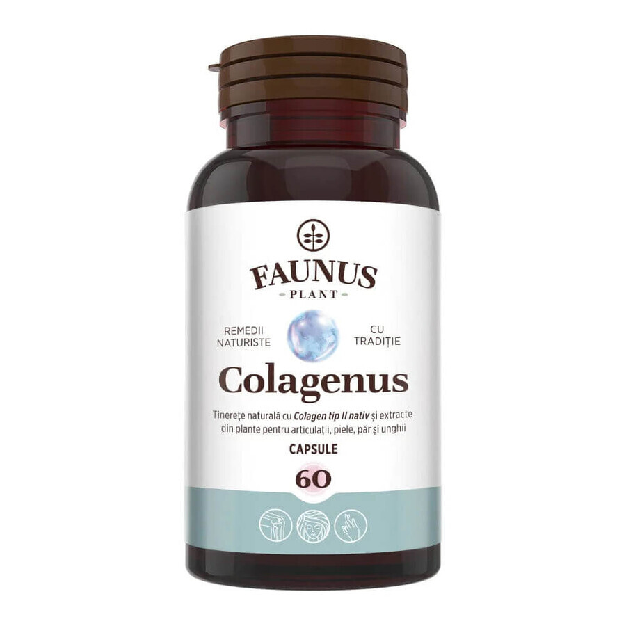 Collageen type 2 voor gewrichten, botten, huid en haar Colagenus, 60 capsules, Faunus Plant