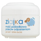 Ziajka, pomada para el culito contra la dermatitis del pañal, desde el primer día de vida, 50 ml