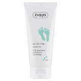 Ziaja, gel para piernas, castaña, 100 ml