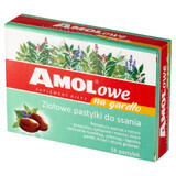 AMOLowe pastillas para la garganta, 16 pastillas de hierbas