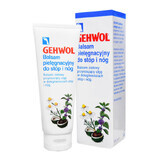 Gehwol Bein Balsam, loción para el cuidado de pies y piernas, 125 ml