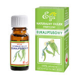 Etja, aceite esencial de eucalipto natural, 10 ml