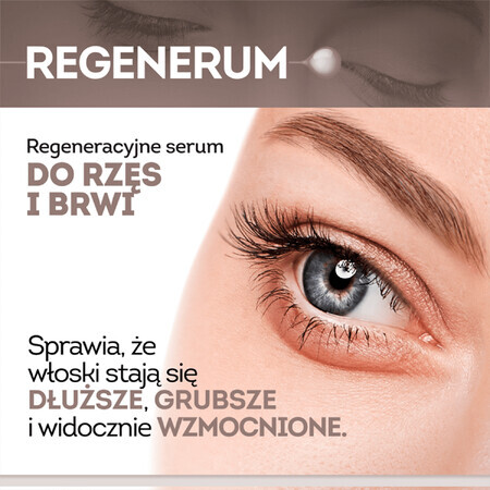 Regenerum, Regenerating serum for eyelashes and eyebrows, 11 ml