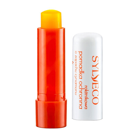 Sylveco Cinnamon Sea Buckthorn Protective Lipstick 4.6g