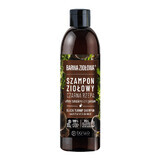 Barwa Ziołowa, champú de nabo negro, 250 ml