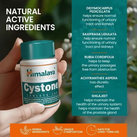 Cystone, 100 comprimate, Himalaya
