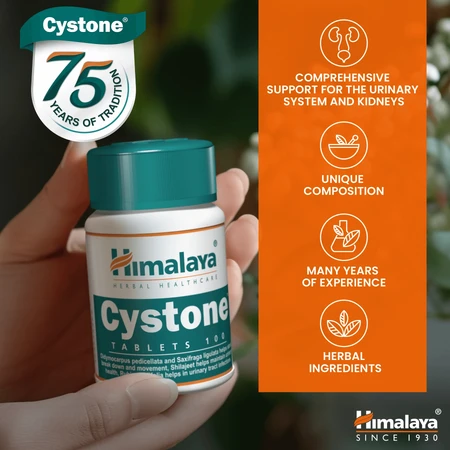 Cystone, 100 comprimate, Himalaya