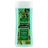 Joanna Naturia, champú capilar con ortiga y té verde, 200 ml