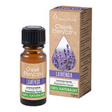 Vera Nord, aceite esencial natural, lavanda, 10 ml