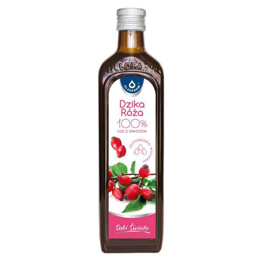 Succo di Frutta Rosa Selvatica 100% Naturale - Vitalità in una Bottiglia da 490 ml