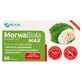 Morera Blanca Max, 60 comprimidos