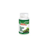 Green Tea 400 mg, 60 capsules, Adams