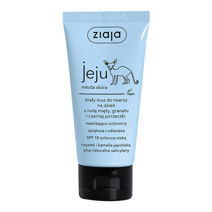 Ziaja Jeju White Moisturizing and Protective Face Foam with Mint, Pomegranate and Blackcurrant Notes, SPF 10, 50ml