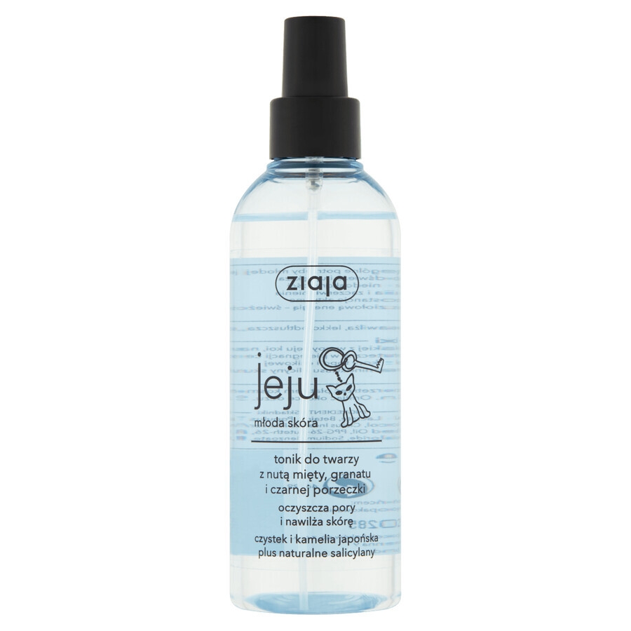 Ziaja Jeju Facial Toner, Pore Cleanser and Skin Moisturizer, 200ml