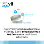 Ibuvit Magnesio, 30 comprimidos de liberación controlada