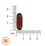 SEMA Lab Fosfolípidos Max 600 mg, 30 cápsulas