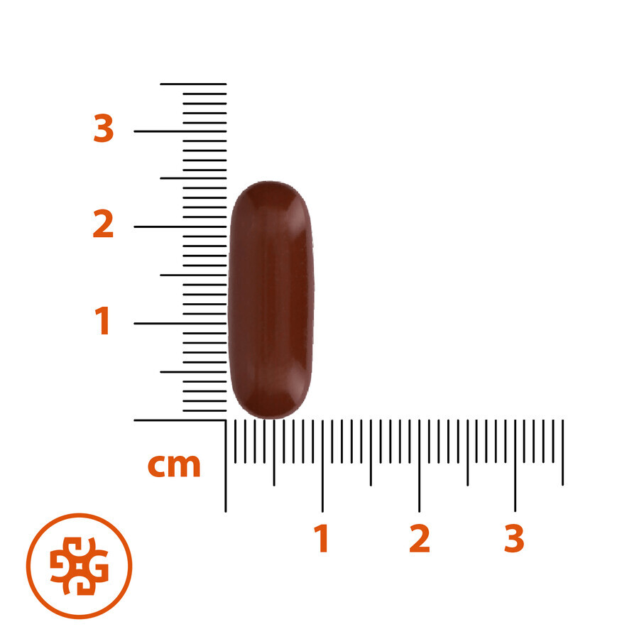 SEMA Lab Fosfolípidos Max 600 mg, 30 cápsulas