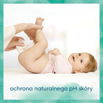 Pampers Harmonie New Baby, toallitas húmedas, 24 x 46 piezas