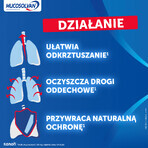 Mucosolvan 30 mg, 20 comprimidos