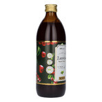 SEMA Herba Arándano, zumo de frutas, 500 ml