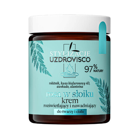 Uzdrovisco Stylization Rosa in a Jar, crema illuminante e idratante per viso e corpo, 170 ml 