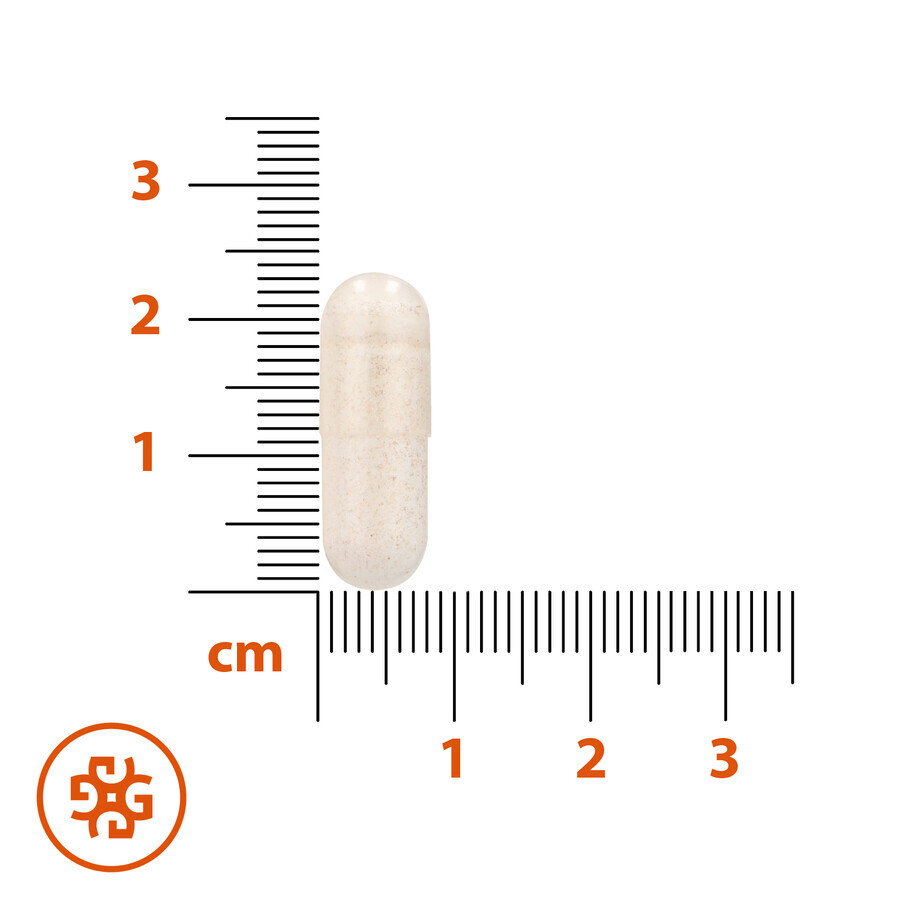 SEMA Lab Sodium Butyrate Max 300 mg, 60 cápsulas de liberación retardada