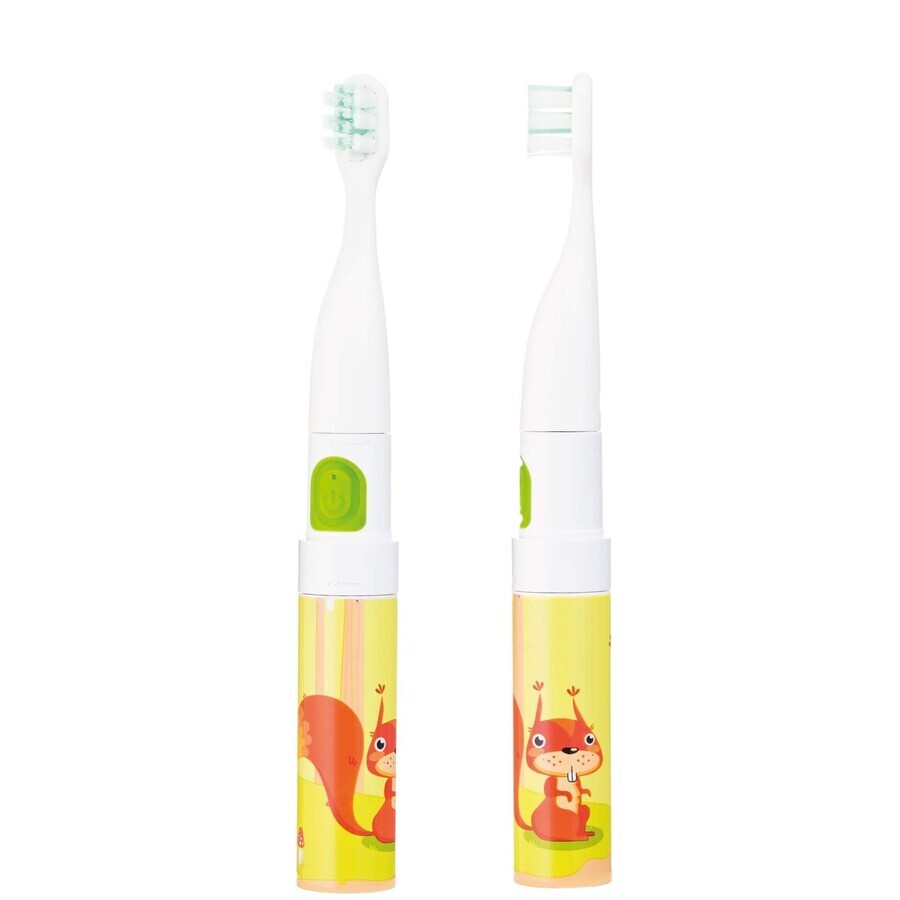 Vitammy Smile set, cepillo de dientes sónico para niños, ardilla + Dodo Memo Gooseberry, juego, 24 cartas