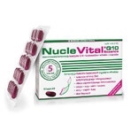 NucleVital Q10 Essence, 60 gélules