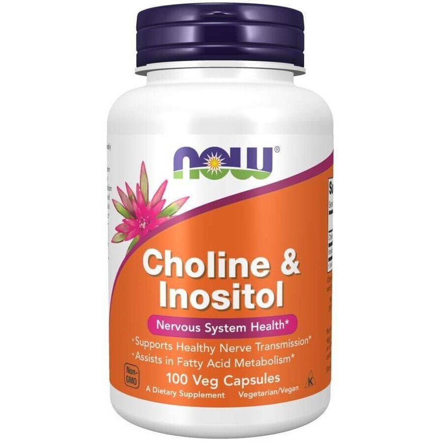 Now Foods Choline &amp; Inositol, colina e inositol, 100 cápsulas