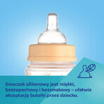 Canpol Babies EasyStart, anti-colic, wide mouth bottle, Mountains, green, 35/242, from birth, 120 ml