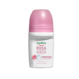 Equilibra Rosa, desodorante de rosas en bola con ácido hialurónico, 50 ml