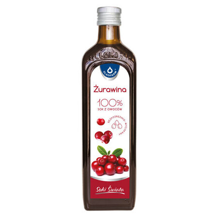 Oleofarm Jugos del Mundo Arándano, zumo 100% fruta, 490 ml