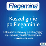 Flegamina Classic muntsmaak suikervrij 4 mg/ 5 ml, siroop, 120 ml